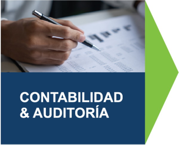 Webinar: Evaluating Internal Controls in Small and Medium Sized Entities