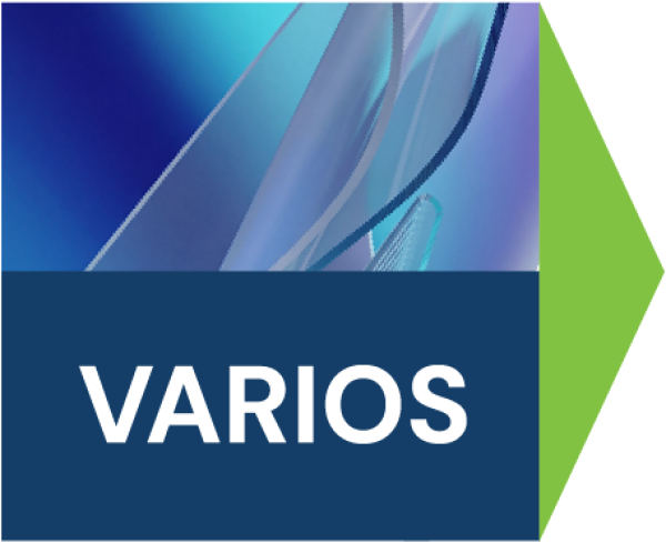 Webinar: Ciberseguridad bajo la Lupa del Auditor 